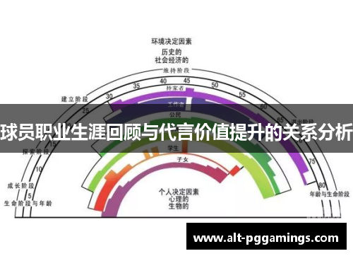 球员职业生涯回顾与代言价值提升的关系分析