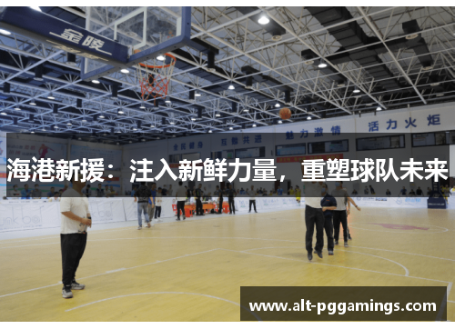海港新援：注入新鲜力量，重塑球队未来