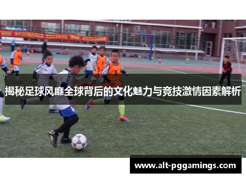 揭秘足球风靡全球背后的文化魅力与竞技激情因素解析
